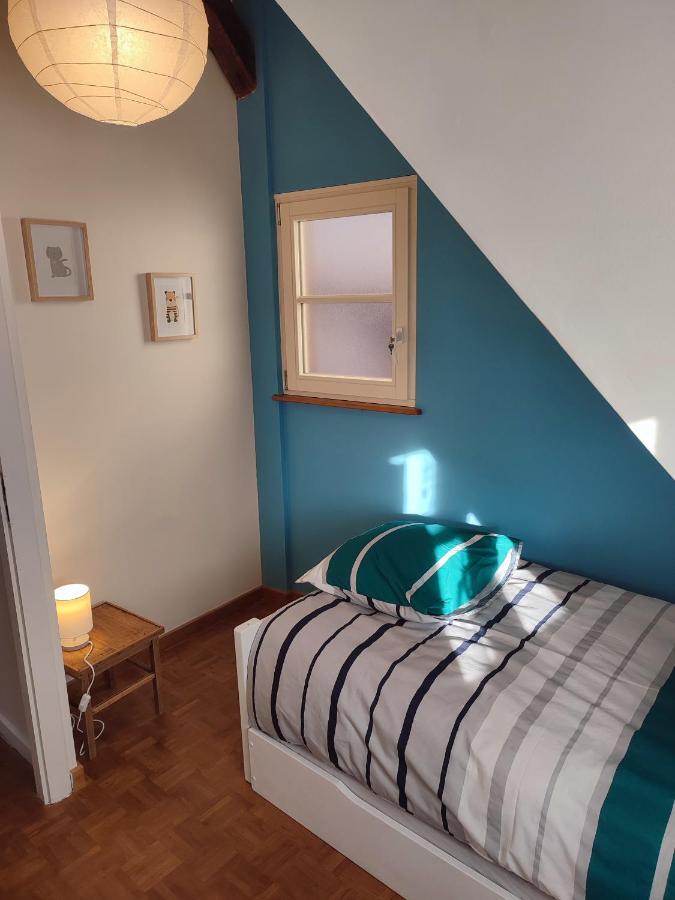 Confortable Appartement Au Centre De 塞莱斯塔 外观 照片